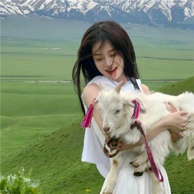 占卜师们